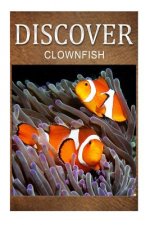 Clown Fish - Discover: Early reader's wildlife photography book