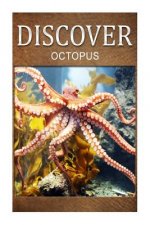 Octopus - Discover: Early reader's wildlife photography book