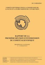 Rapport de la premi?re réunion d'intersession du Comité Scientifique: Bremerhaven, Allemagne