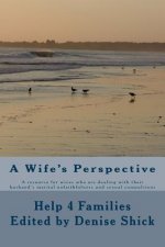 A Wife's Perspective: A resource for wives who are dealing with their husband's marital