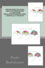 Neuropsicologia dell'attenzione 1: I sistemi dell'attenzione del cervello umano