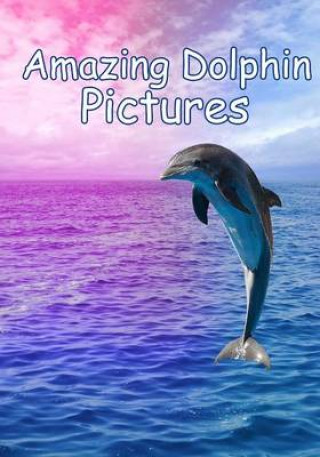 Amazing Dolphin Pictures: 100 photos of dolphins