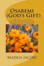 Osaremi (God's Gift): A Mother's Journey of One Extracoporeal Membrane Oxygenation ( EMCO)) Baby's Journey
