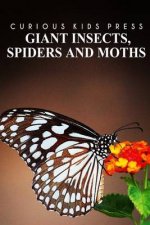 Giant Insects, Spiders and Moths - Curious Kids Press: Kids book about animals and wildlife, Children's books 4-6