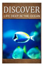 Life Deep In Ocean - Discover: Early reader's wildlife photography book