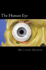 The Human Eye: A Fascinating Book Containing Human Eye Facts, Trivia, Images & Memory Recall Quiz: Suitable for Adults & Children
