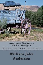 Awesome Dreams - And a Shotgun: Four views into life as it isn't