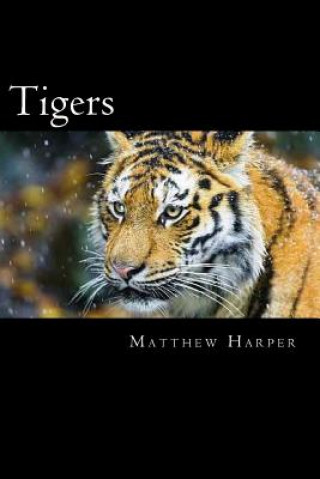Tigers: A Fascinating Book Containing Tiger Facts, Trivia, Images & Memory Recall Quiz: Suitable for Adults & Children
