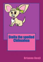 Stella the spoiled Chihuahua
