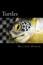 Turtles: A Fascinating Book Containing Turtle Facts, Trivia, Images & Memory Recall Quiz: Suitable for Adults & Children