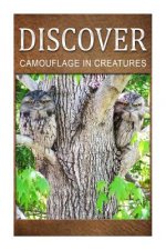 Camouflage In Creatures - Discover: Early reader's wildlife photography book