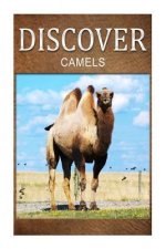 Camels - Discover: Early reader's wildlife photography book