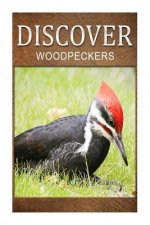 Woodpeckers - Discover: Early reader's wildlife photography book