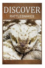 Rattle Snakes - Discover: Early reader's wildlife photography book