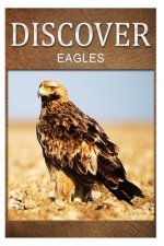 Eagles - Discover: Early reader's wildlife photography book