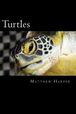 Turtles: A Fascinating Book Containing Turtle Facts, Trivia, Images & Memory Recall Quiz: Suitable for Adults & Children