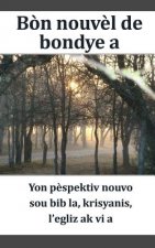 Good News Creole: Yon P?spektiv Nouvo Sou Krisyanis, Bib La, l'Egliz AK VI a