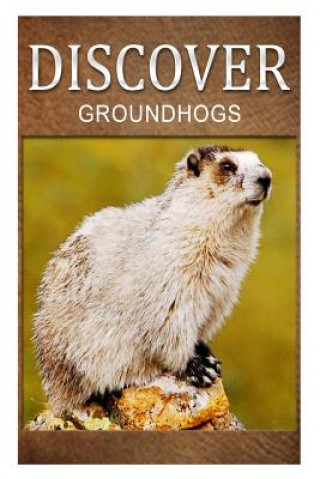 Groundhogs - Discover: Early reader's wildlife photography book