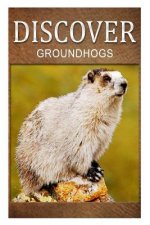 Groundhogs - Discover: Early reader's wildlife photography book