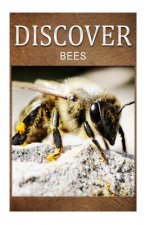Bees - Discover: Early reader's wildlife photography book