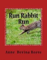 RUN RABBIT RUN by ANNE DEVINA REEVE: World War 11 Anna and her Gang discover strange things happening