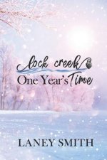 Lock Creek: One Year's Time