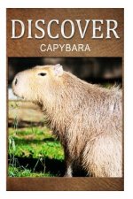 Capybara - Discover: Early reader's wildlife photography book