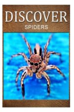 Spiders - Discover: Early reader's wildlife photography book
