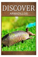 Armadillos - Discover: Early reader's wildlife photography book