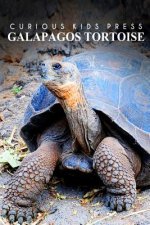 Galapagos Tortoise - Curious Kids Press: Kids book about animals and wildlife, Children's books 4-6