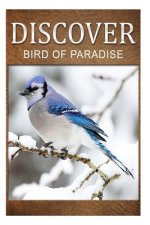 Birds Of Paradise - Discover: Early reader's wildlife photography book