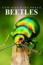 Beetles - Curious Kids Press: Kids book about animals and wildlife, Children's books 4-6