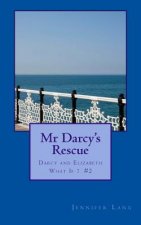 Mr Darcy's Rescue: Darcy and Elizabeth What If? #2