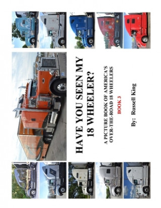 Have You Seen My 18 Wheeler?: A Picture Book of America's Over-The- Road 18 Wheelers