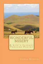 Wonderful Misery: A Life's Journey Through Poetry