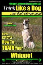 Whippet, Whippet Training AAA AKC: Think Like a Dog, but Don't Eat Your Poop! - Whippet Breed Expert Training -: Here's EXACTLY How to Train Your Whip