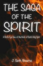 The Saga of the Spirit: A Bird's-Eye View of the Word of God's Holy Spirit