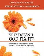 Why Doesn't God Fix It? - Bible Study Companion Booklet: Chapter by Chapter Companion Study for Why Doesn't God Fix It? - Shining Eternal Light on the