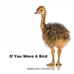 If You Were A Bird