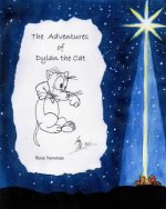 The Adventures of Dylan the Cat: Such a Wonderful Night!