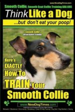 Smooth Collie, Smooth Coat Collie Training AAA AKC - Think Like a Dog But Don't Eat Your Poop! - Smooth Collie Breed Expert Training -: Here's EXACTLY