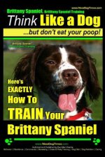 Brittany Spaniel, Brittany Spaniel Training - Think Like a Dog But Don't Eat Your Poop! - Brittany Spaniel Breed Expert Training-: Here's Exactly How