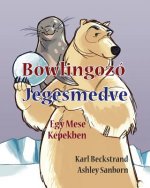 Bowlingozó Jegesmedve: Egy Mese Képekben