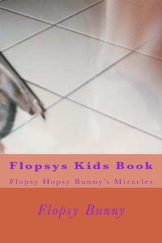Flopsys Kids Book: Flopsy Hopsy Bunny's miracles