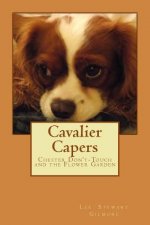 Cavalier Capers: Chester Don't-Touch and The Flower Garden