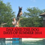 dax and the dog days of summer 2014: 2014