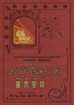 A Child's Dream of a Star (Traditional Chinese): 09 Hanyu Pinyin with IPA Paperback B&w