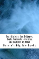 Constitutional law, Evidence, Torts, Contracts, - Outlines and Lectures by Model: Written by 6-time model bar exam essay writers