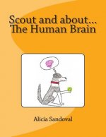Scout and about...The Human Brain