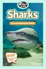 Sharks: Amazing Pictures & Fun Facts